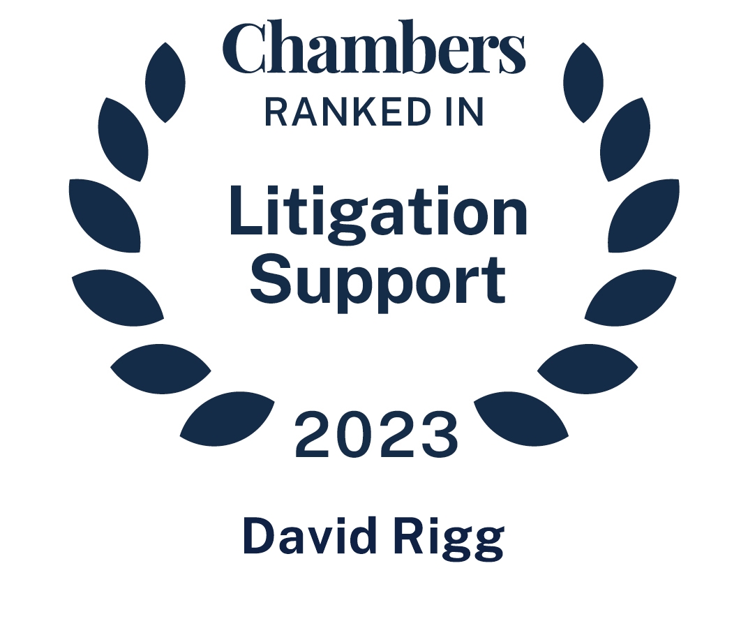 Litigation Support